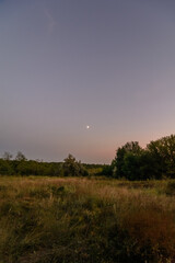 Yellow-green field with green trees in the background, against a blue sky with a small white moon in the center.