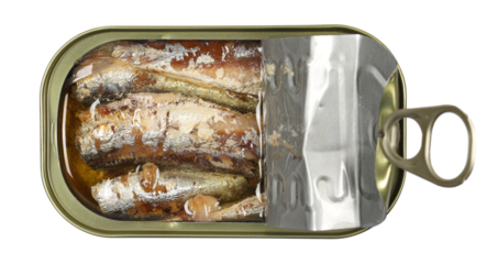 Open can of sardines in olive oil isolated on white, top view