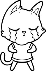 crying cartoon cat