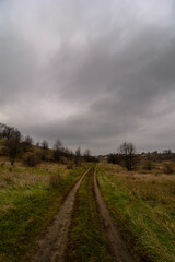 A rural dirt road in a green field, against a backdrop of dark stormy cloudy sky. A somber scene.
