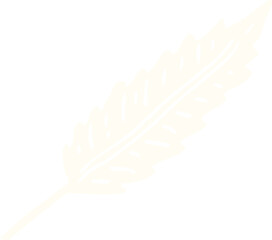 flat color illustration cartoon of a white feather