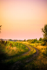 Rural winding road, with yellow grass around and in the center, with a green field on the left, against a backdrop of a bright warm sunset sky.