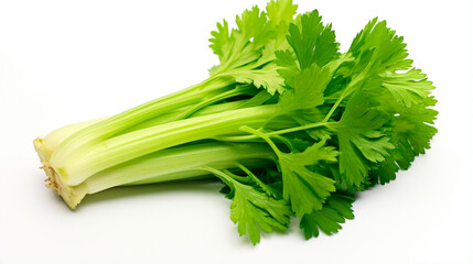 Celery greens on a white background