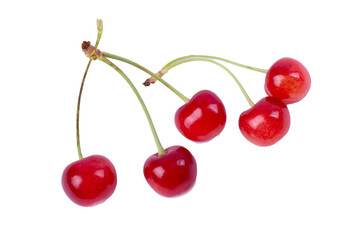 Fresh Tart or Pie Cherries on Stem Isolated on White in Top Down or Flat Lay View