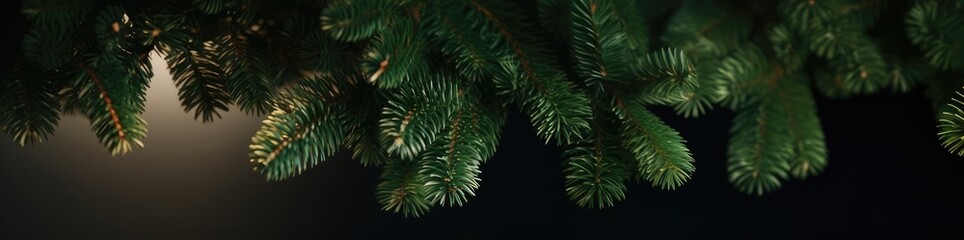 Christmas tree banner, emerald and green spruce branches, spruce, pine. Merry Christmas! Happy New Year! Xmas. Dark nature banner with copy space.