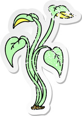 distressed sticker of a quirky hand drawn cartoon plant