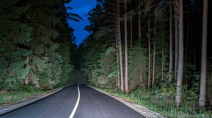 The road through the pine trees forest at night.