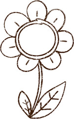 Flower Charcoal Drawing