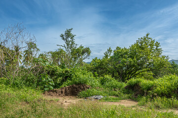 Fototapeta na wymiar Zihuatanejo, Mexico - July 18, 2023: Historic Terracotta kiln. Clay heap at green foliage forest border under blue cloudscape