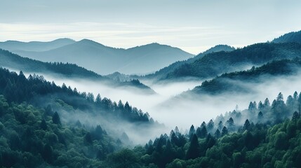 Mystical Mountains: Serene Mist-Shrouded Peaks Above Dense Forest

