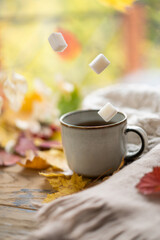 Cozy autumn concept. A cup of tea with levitating sugar cubes on a windowsill against a background of glass with raindrops