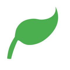 Leaves icon vector