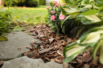 Mulched flowers with bark chips in garden, closeup