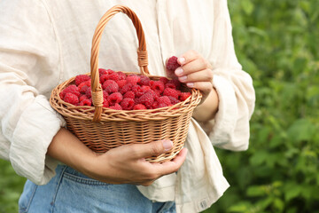 Fototapeta na wymiar Woman holding wicker basket with ripe raspberries outdoors, closeup