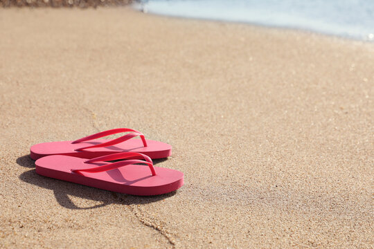 Stylish bright pink flip flops on sand near sea. Space for text