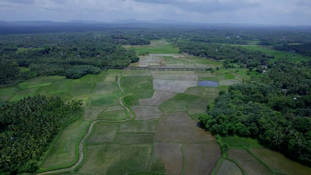 The most beautiful village in India,Aerial view of paddy fields ,  A Border village in Palakkad, Kollengode Famous for its beautiful vast strech of paddy fields,