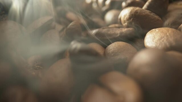 Coffee Bean Super Slow Motion 1000fps
Explore the hypnotic beauty of a coffee bean in 1000fps super slow motion
