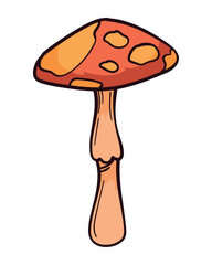 autumn nature fungus