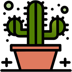 cactus in a pot