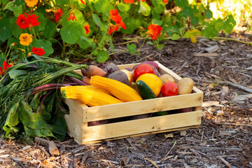 Various vegetables in wooden crate near flower bed in the garden.