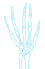 リアルな人の手の骨のイラスト　レントゲン風