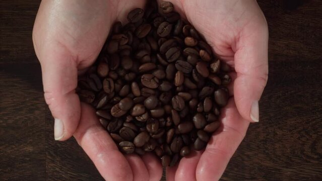 Coffee Bean Super Slow Motion 1000fps
Explore the hypnotic beauty of a coffee bean in 1000fps super slow motion