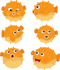 Illustrator of puffer fish