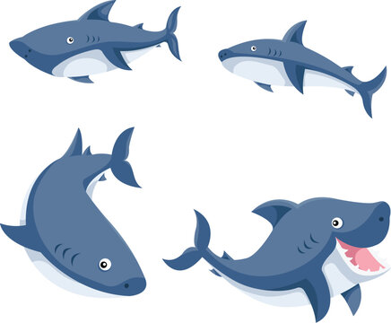 Illustrator of sharks cartoon