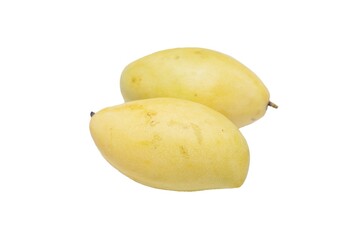 Two ripe mangoes placed on a white background.