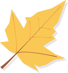 Obraz premium autumn leaf hand draw