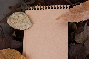 Open blank notebook with fallen autumn leaves