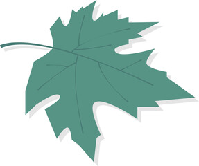 autumn leaf hand draw