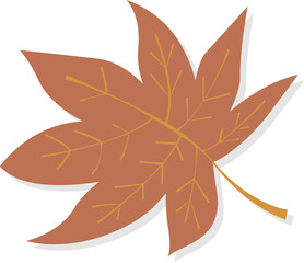 autumn leaf hand draw