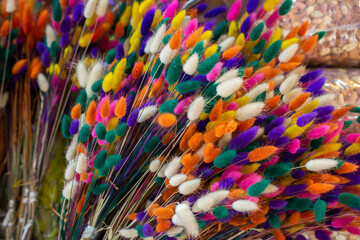 Fototapeta na wymiar Colorful dyied dried wild flowers for doceration