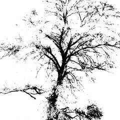 black white grunge tree vector illustration