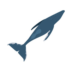 Obraz premium humpback sealife large