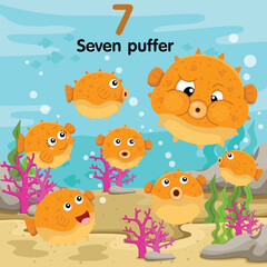Illustrator of number seven puffer  © Nalin