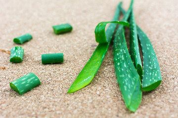 Aloe vera placed on the wooden floor.