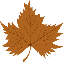 autumn leaf hand draw