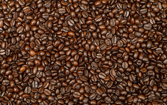 The whole coffee bean is taken at the top corner before being ground for a drink.
