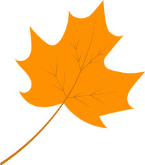 autumn leaf hand draw