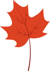 Obraz premium autumn leaf hand draw