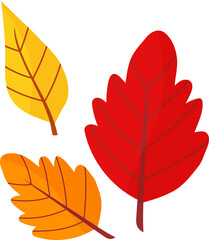 Fototapeta premium autumn leaf hand draw