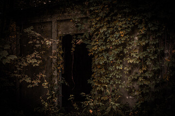 Fototapeta na wymiar abandoned building covered in ivy