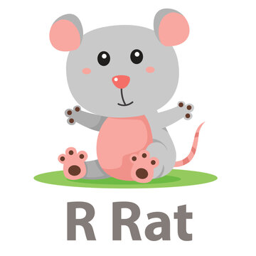 Illustrator of R Rat animal