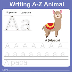 Illustrator of writing a-z animal alpaca