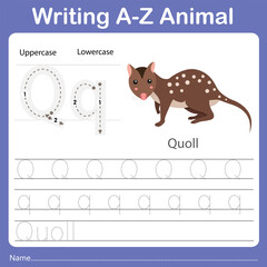 Illustrator of writing a-z animal quoll
