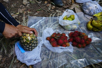 cutting fruit on the forest floor in sumatra indonesia rainforest bukit lawang