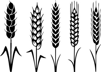 Wheat barley ears, oat wreaths. Grains or malt icons. Gluten pictogram, cereal silhouettes agriculture symbols. Product packing print idea. Gluten free high HD illustrations.