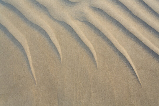 Sand Dune at Sleaford Bay. Eyre Peninsula. South Australia.